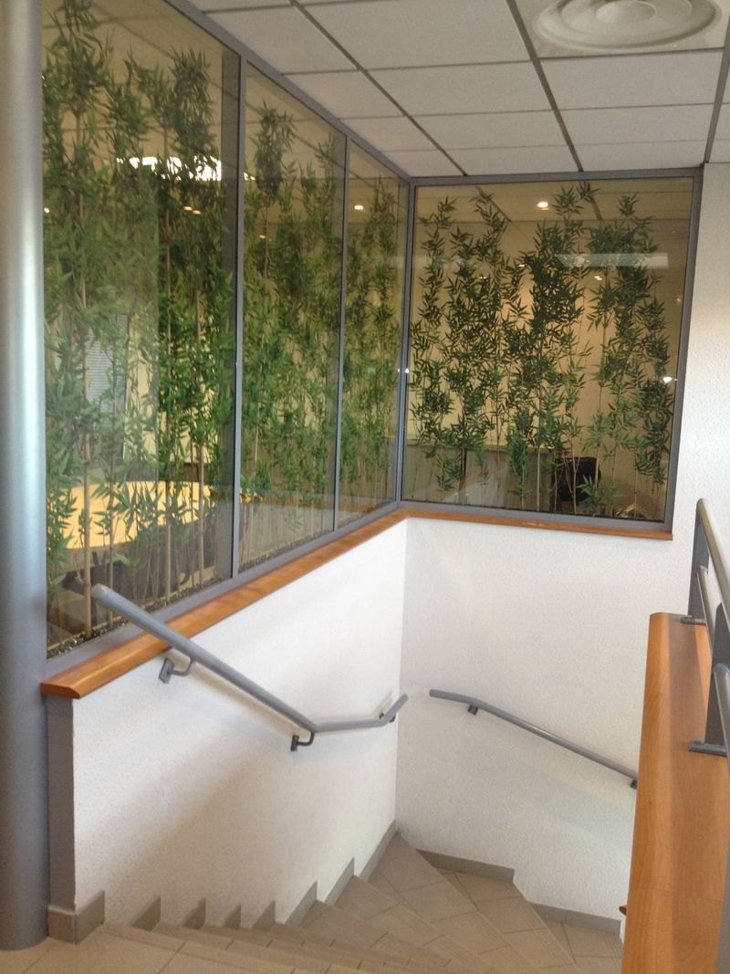 Cloison bambou - 13000